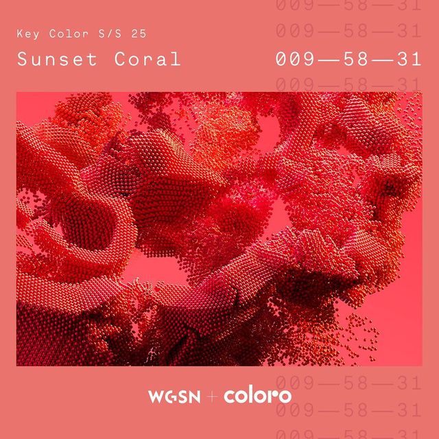 關鍵色coloro 009-58-31